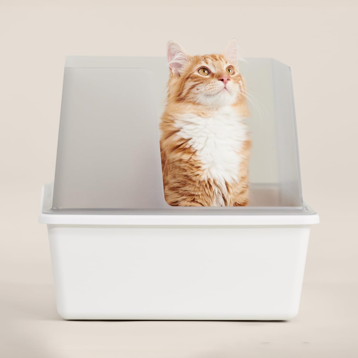 High Sided Cat Litter Box Open Top Anti-Stick Plastic White/Gray X408148