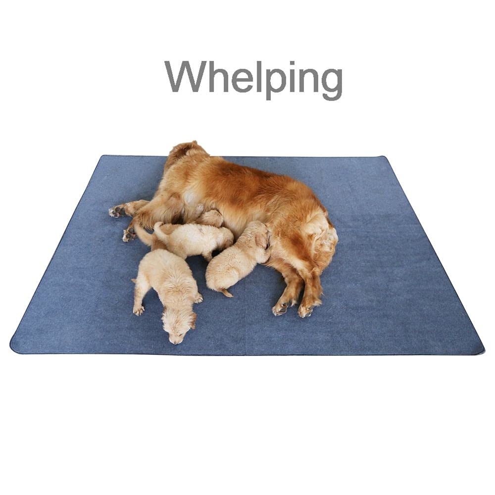 Non-Slip Washable Waterproof Dog Pad 72"x72" Q97652