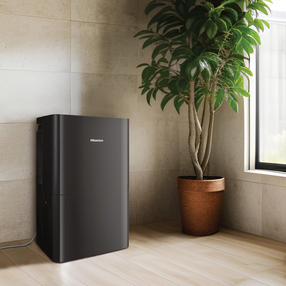 50-Pint Portable Dehumidifier with Built-In Pump T53330