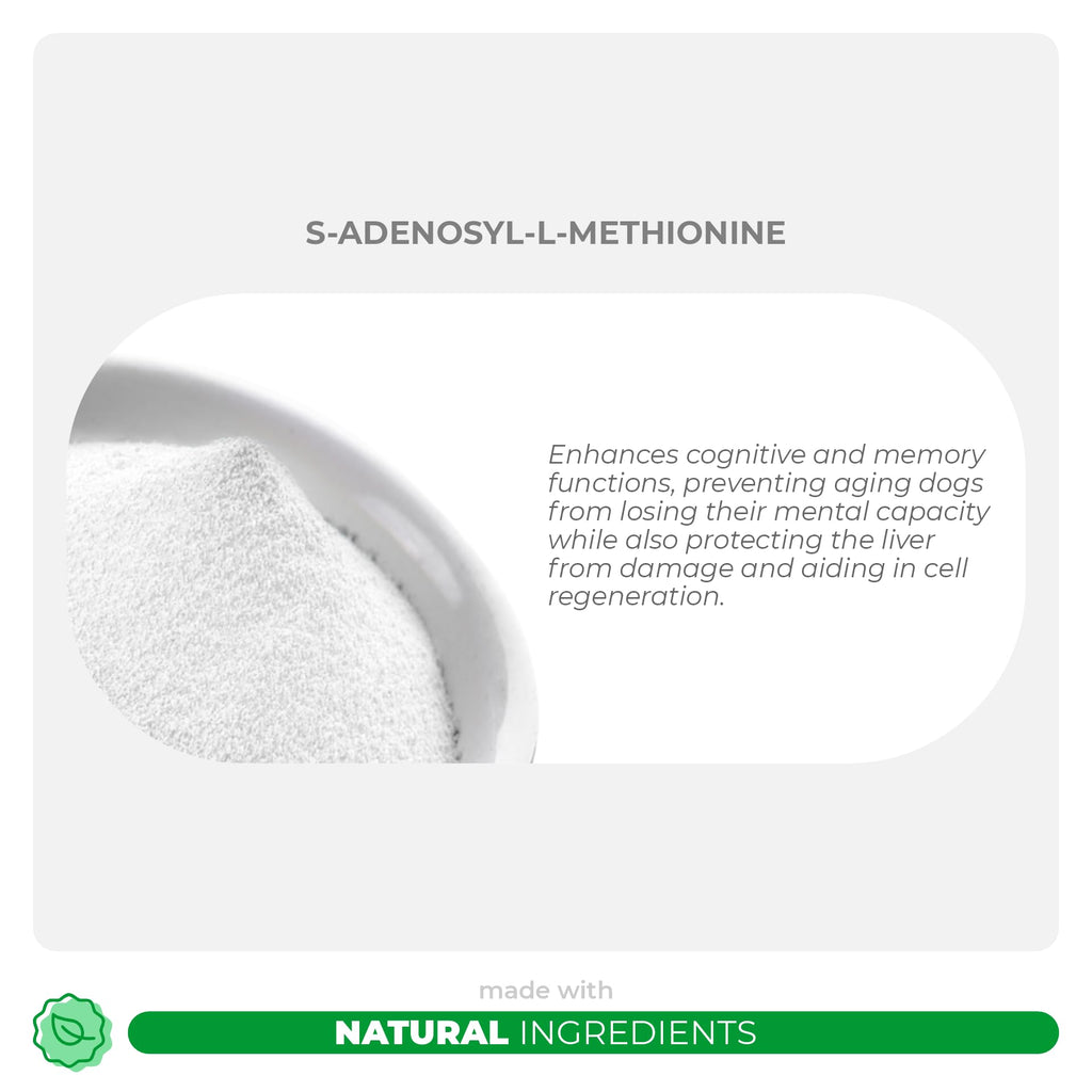Milk Thistle and S-Adenosyl-L-Methionine Bundle Q685