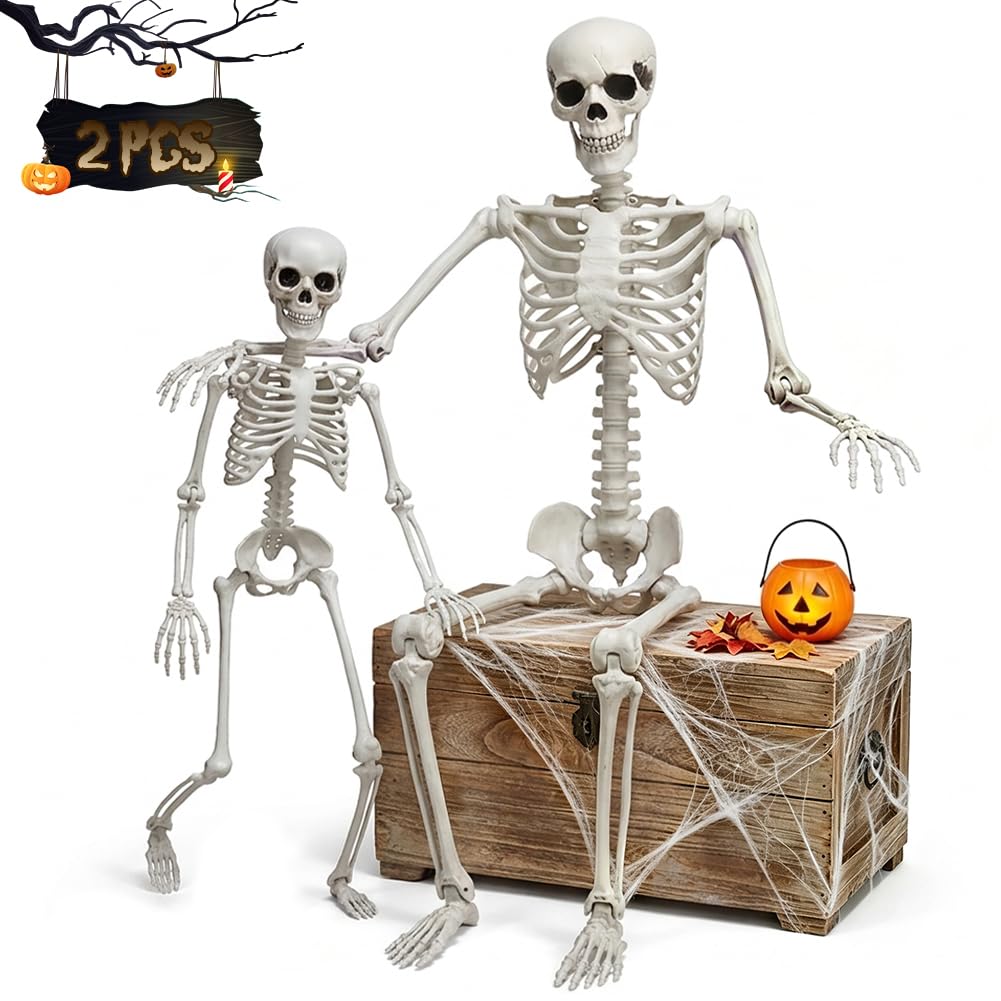Life Size Skeleton with Movable Joints G897
