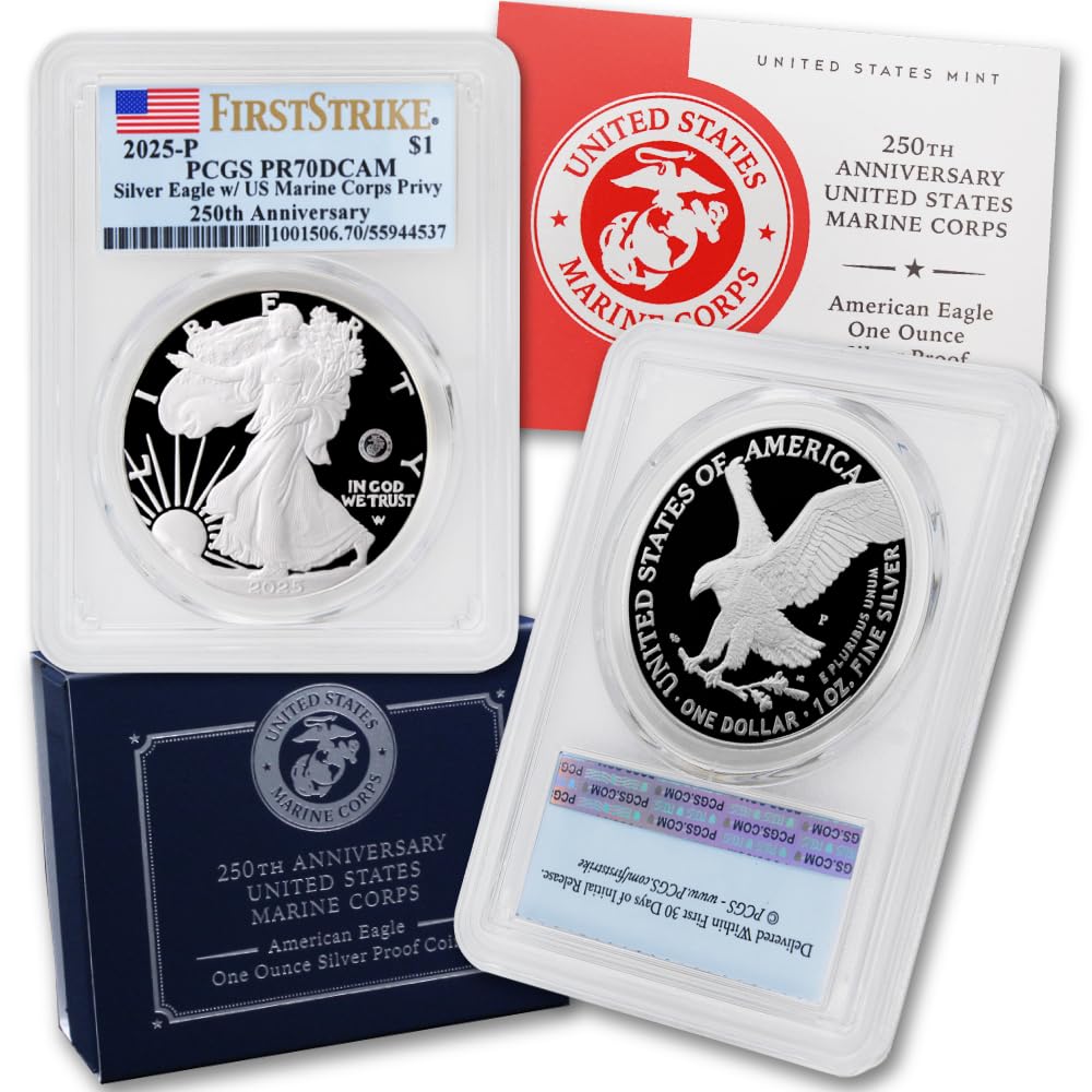 1 oz American Silver Eagle Coin D5797