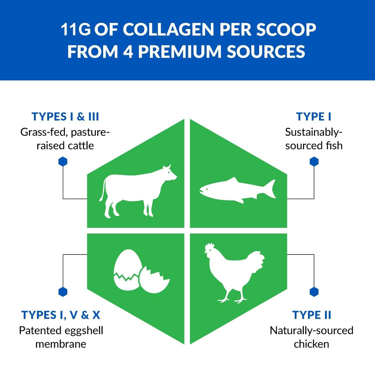 Unflavored Hydrolyzed Collagen Peptides Powder 3 Pack Q106176