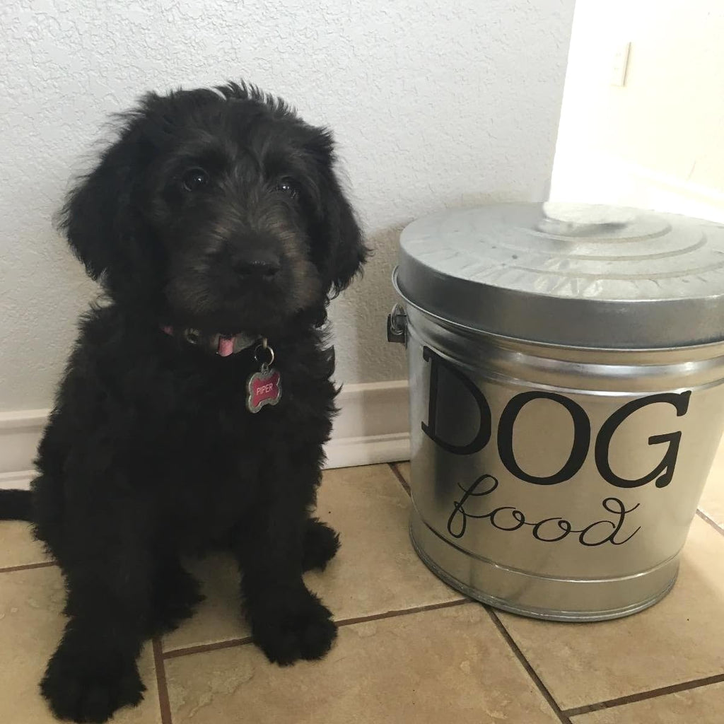 6 Gallon Galvanized Steel Locking Trash Can Q8962
