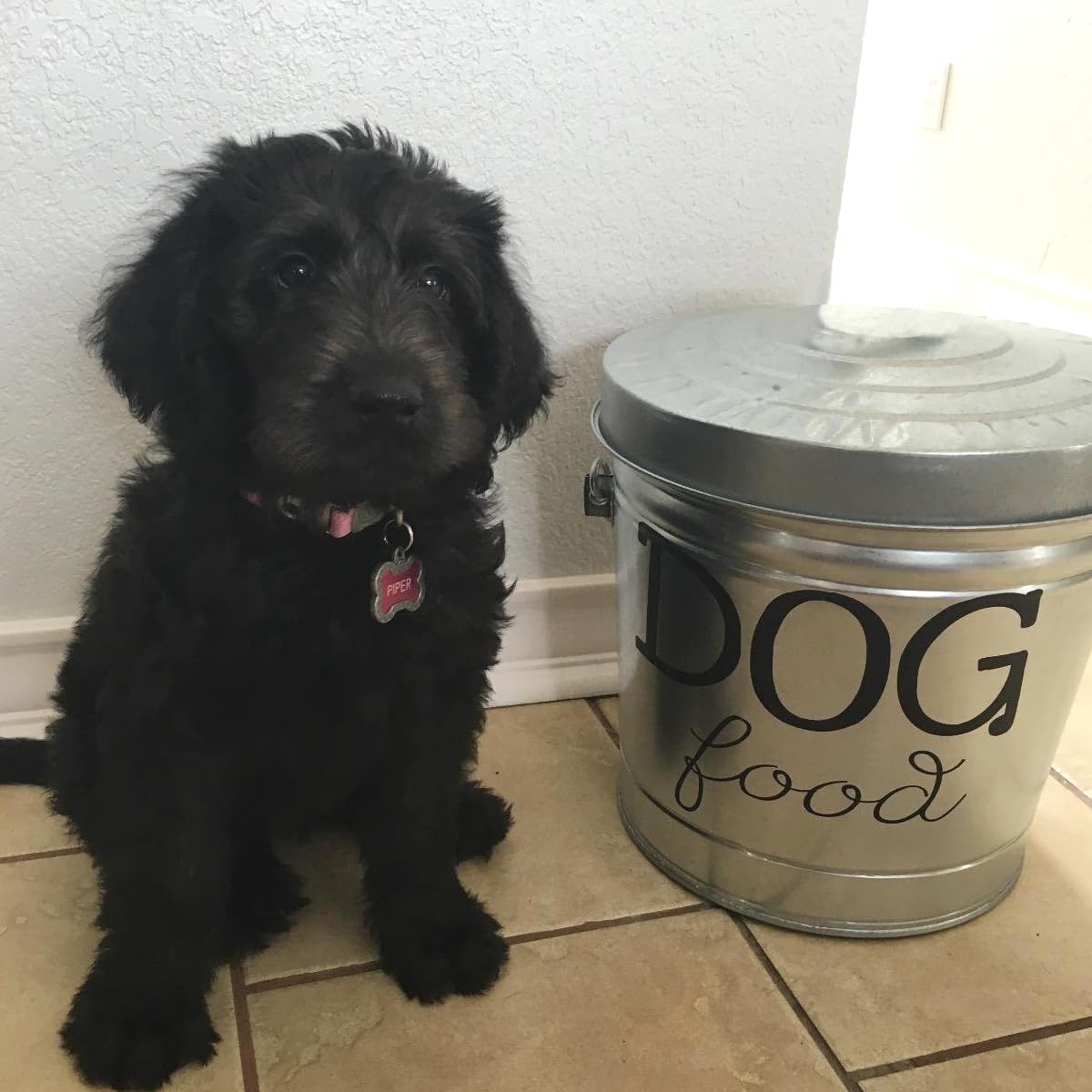 6 Gallon Galvanized Steel Locking Trash Can Q8962