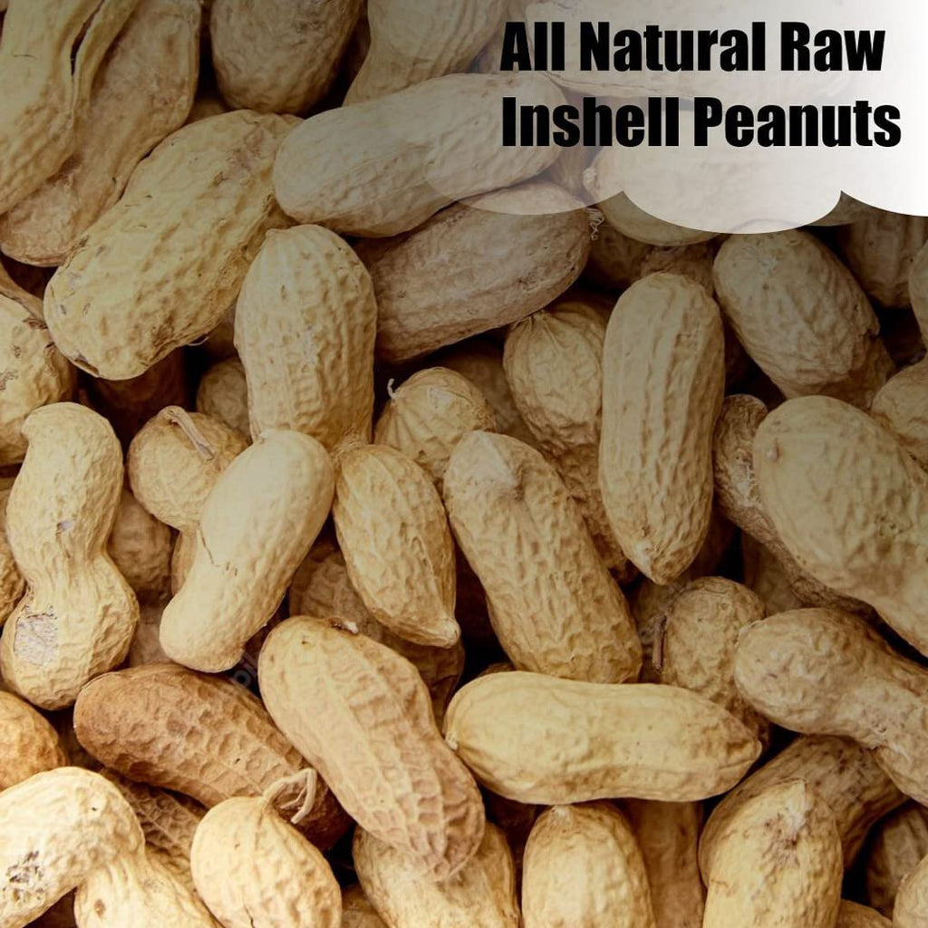 In-Shell Peanuts 8 lbs H75206