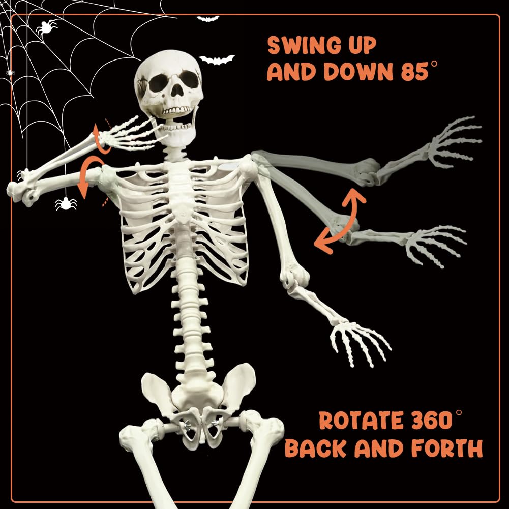 Life Size Skeleton with Movable Joints G897