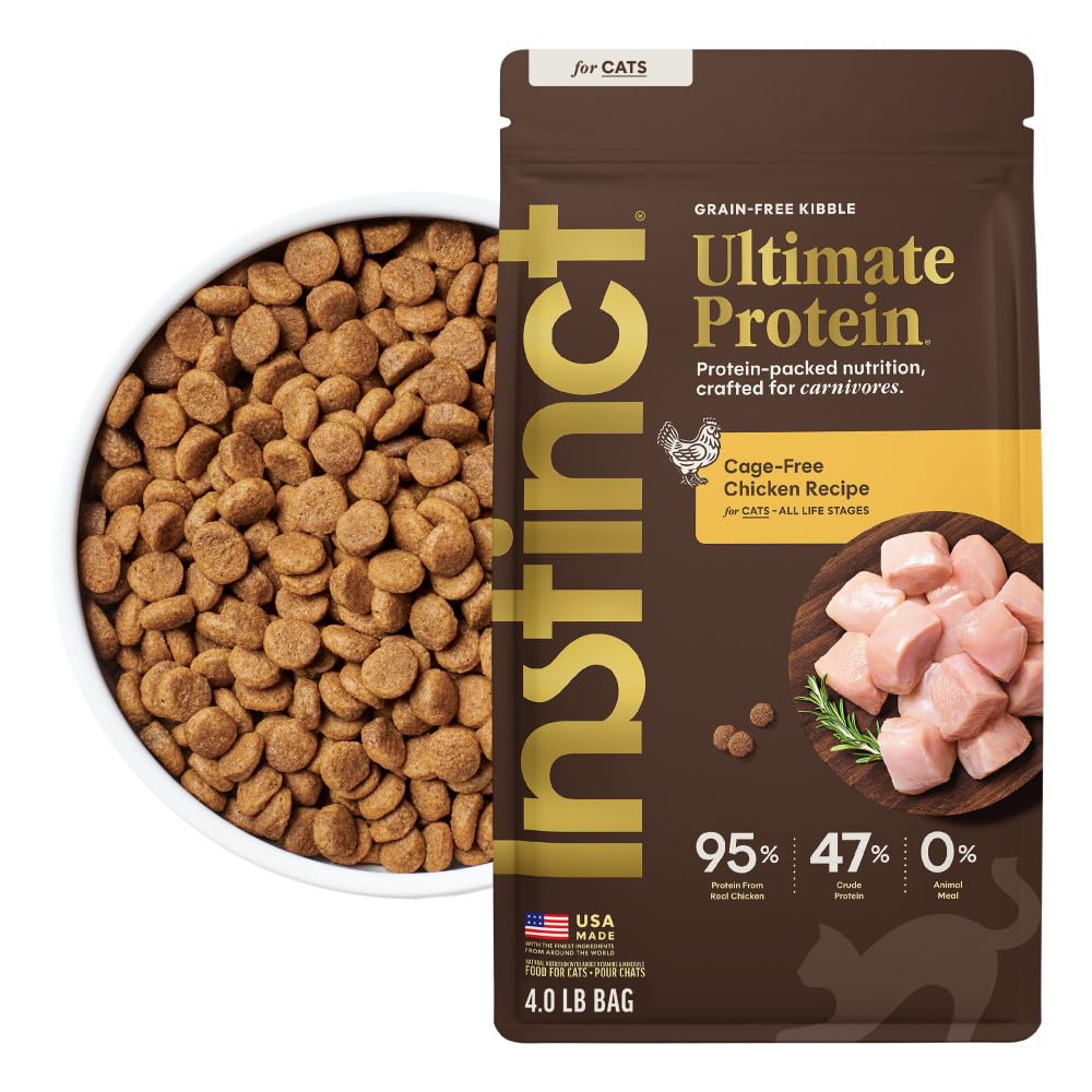 Chicken Dry Cat Food 4 lb. Bag Q40874