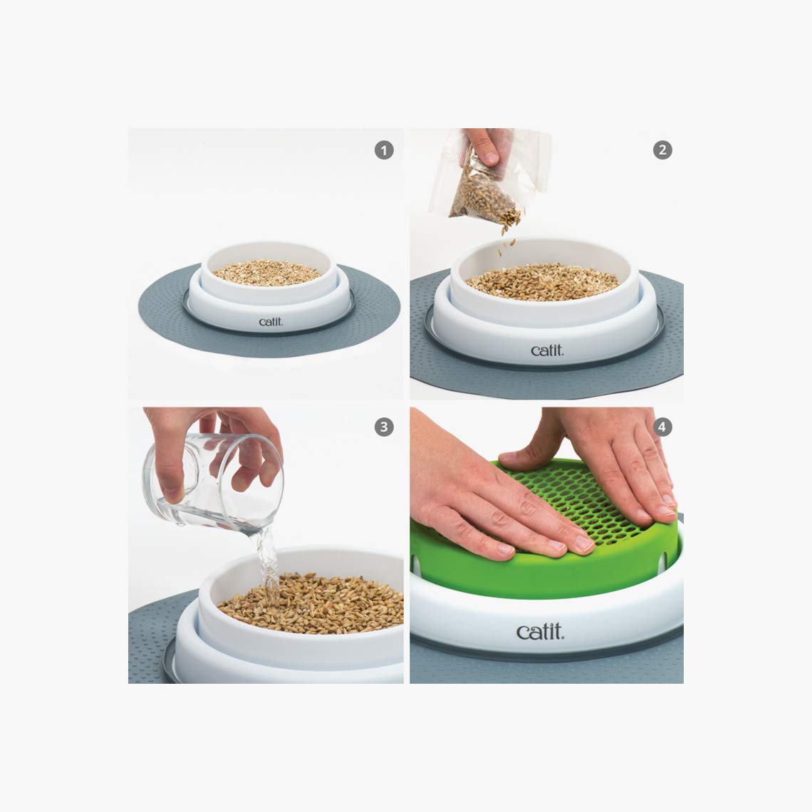 Cat Grass Seeds Set of 3 H4103