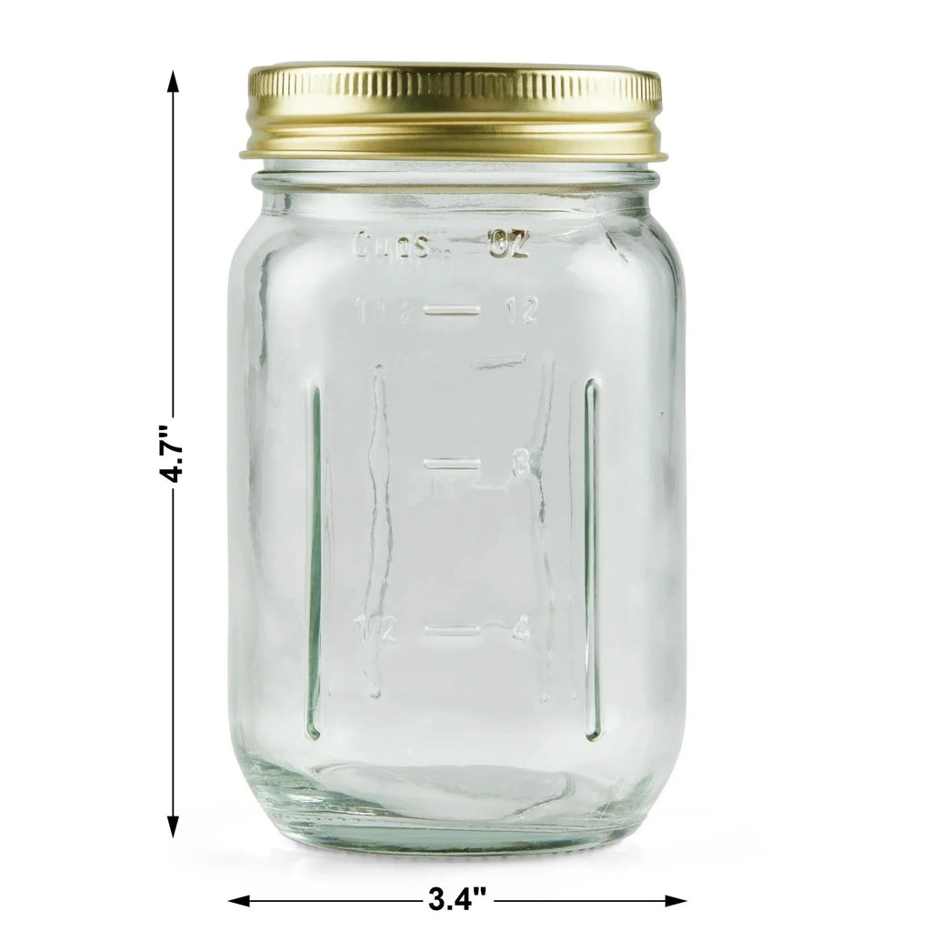 16 oz Pint Glass Mason Jars with Lids 12pk T6182