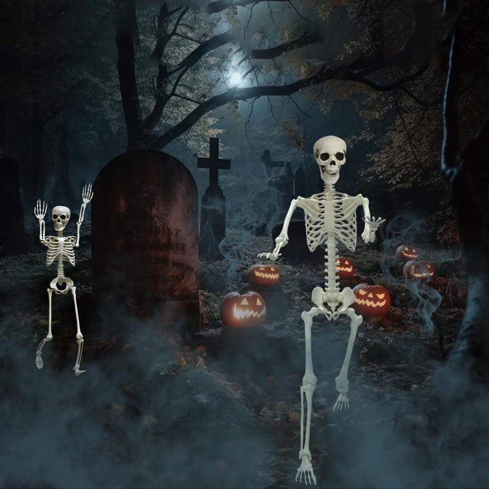 Life Size Skeleton with Movable Joints G897