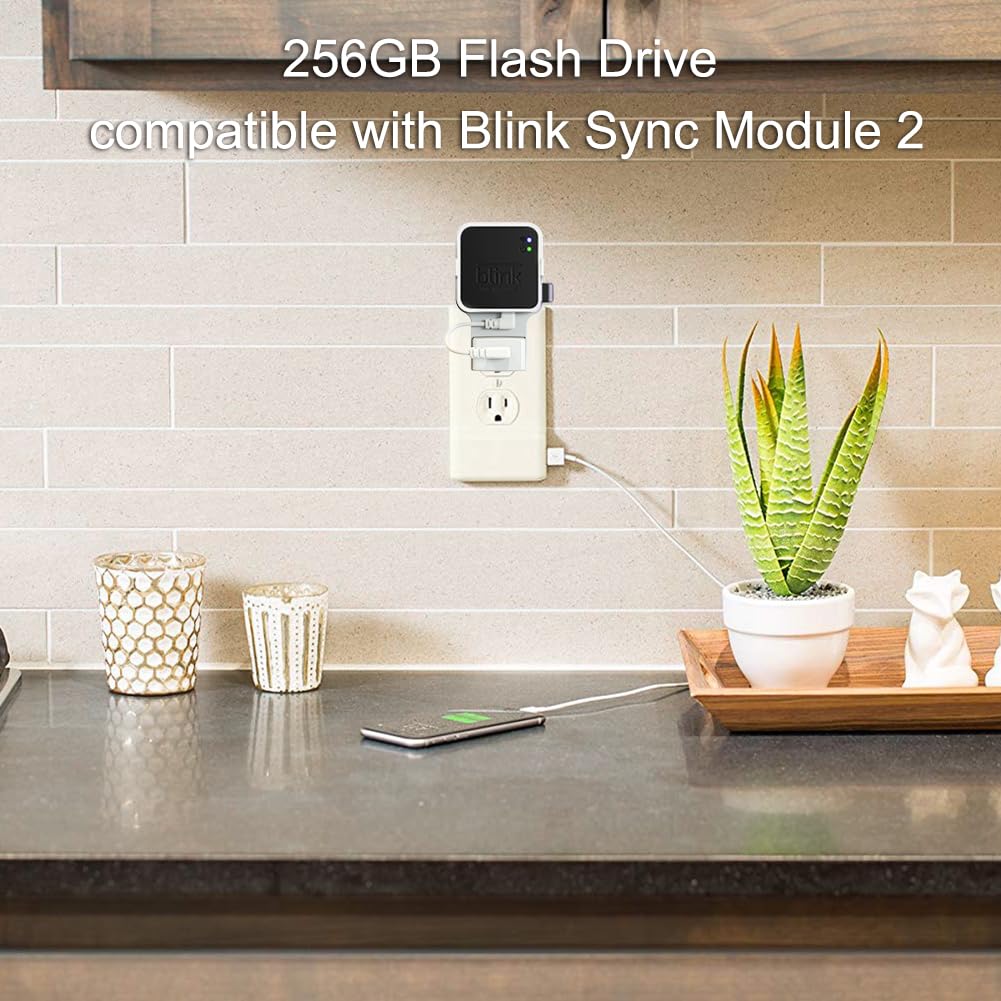 256GB USB Flash Drive with Outlet Wall Mount B979190