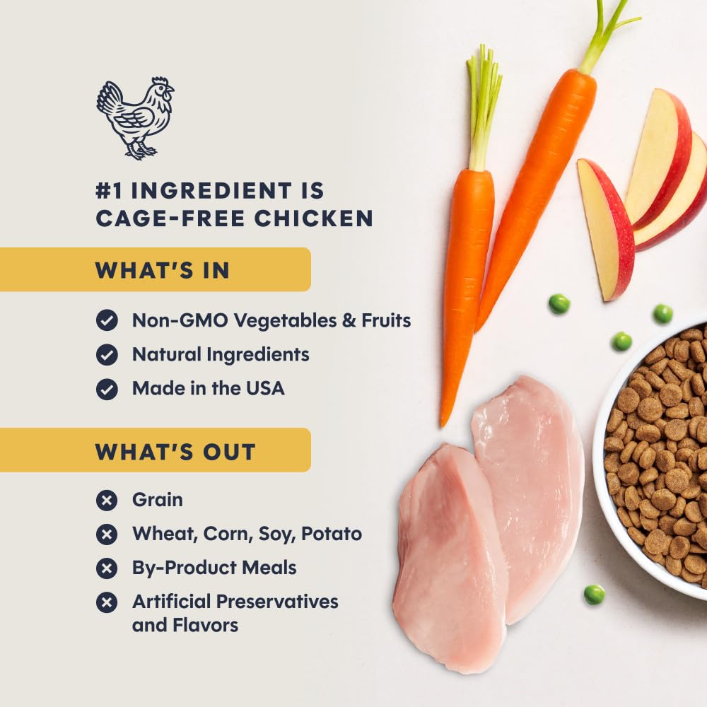 Chicken Dry Cat Food 5 lb. Bag S684585