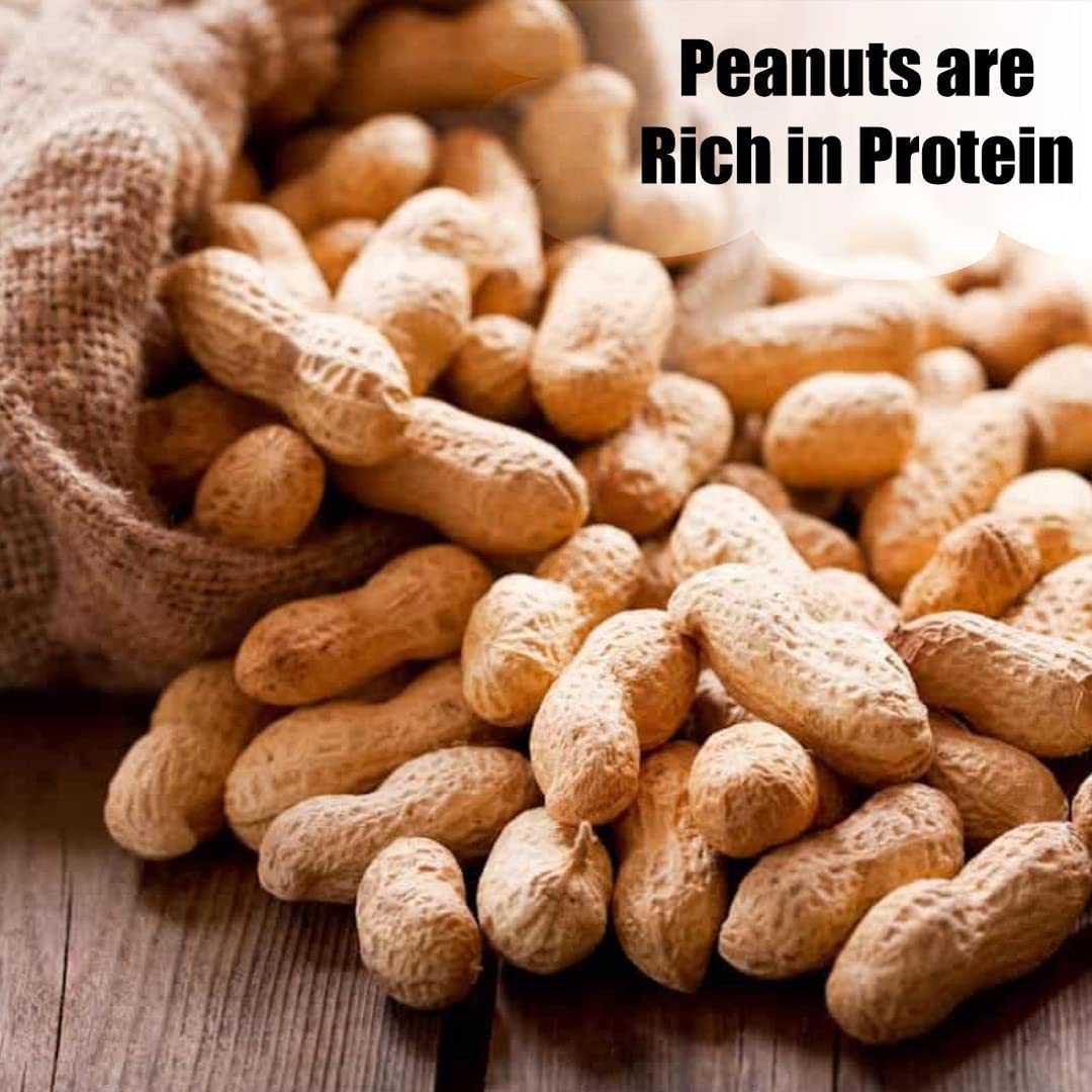 In-Shell Peanuts 8 lbs H75206