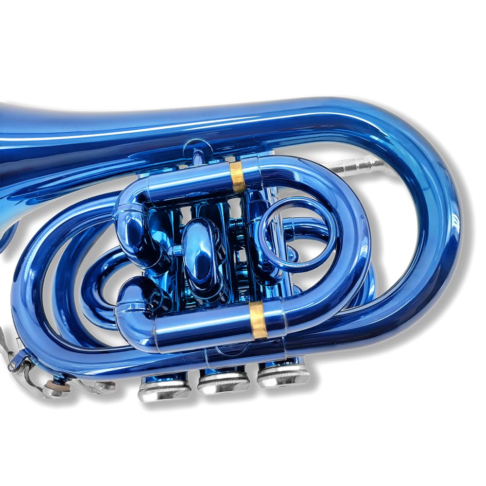 Bb Pocket Trumpet with 7C Mouthpiece and Hard Case A586262