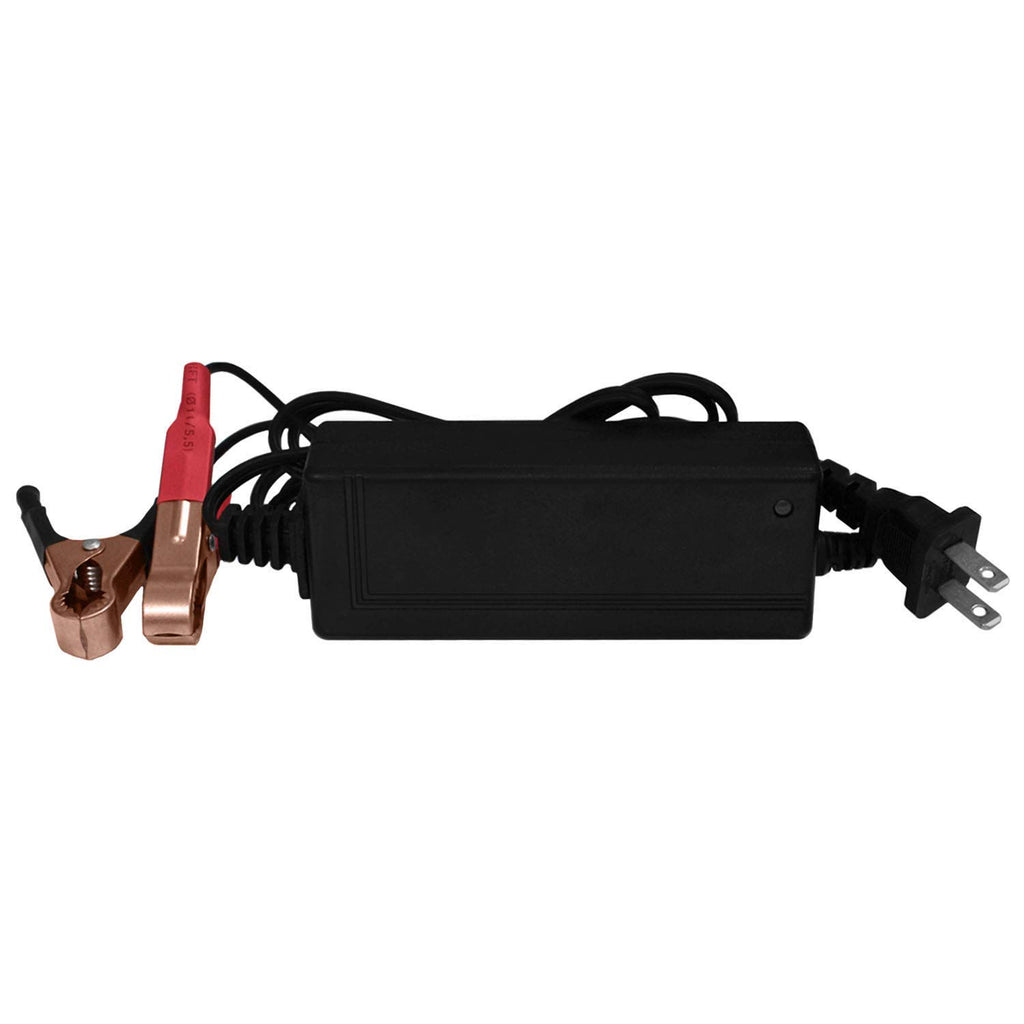 12V Battery with 2Amp Charger A6165