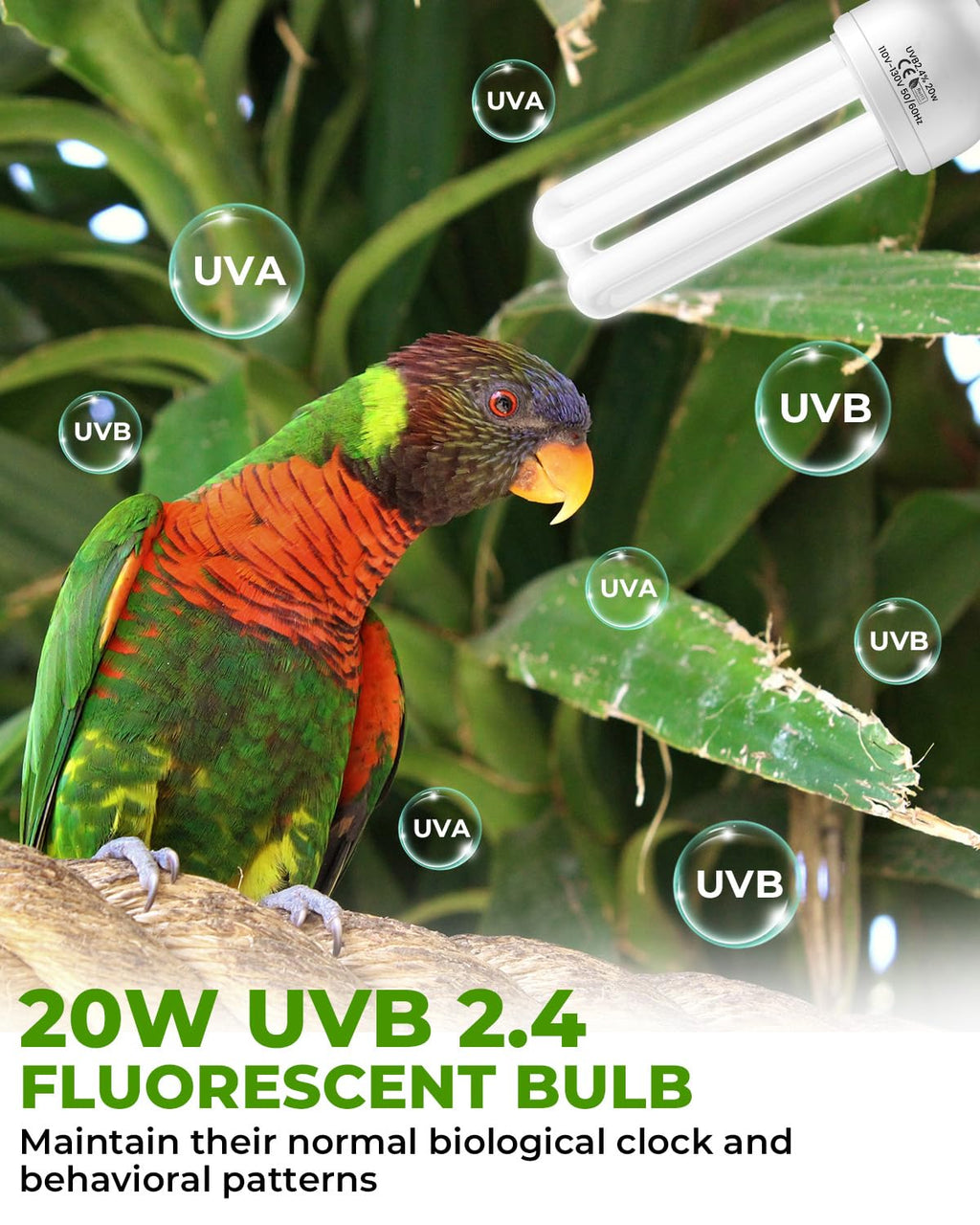 20W UVB Bird Cage Light Combo Kit F78991