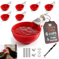 6 Pack Large Chicken Water Cups H9618