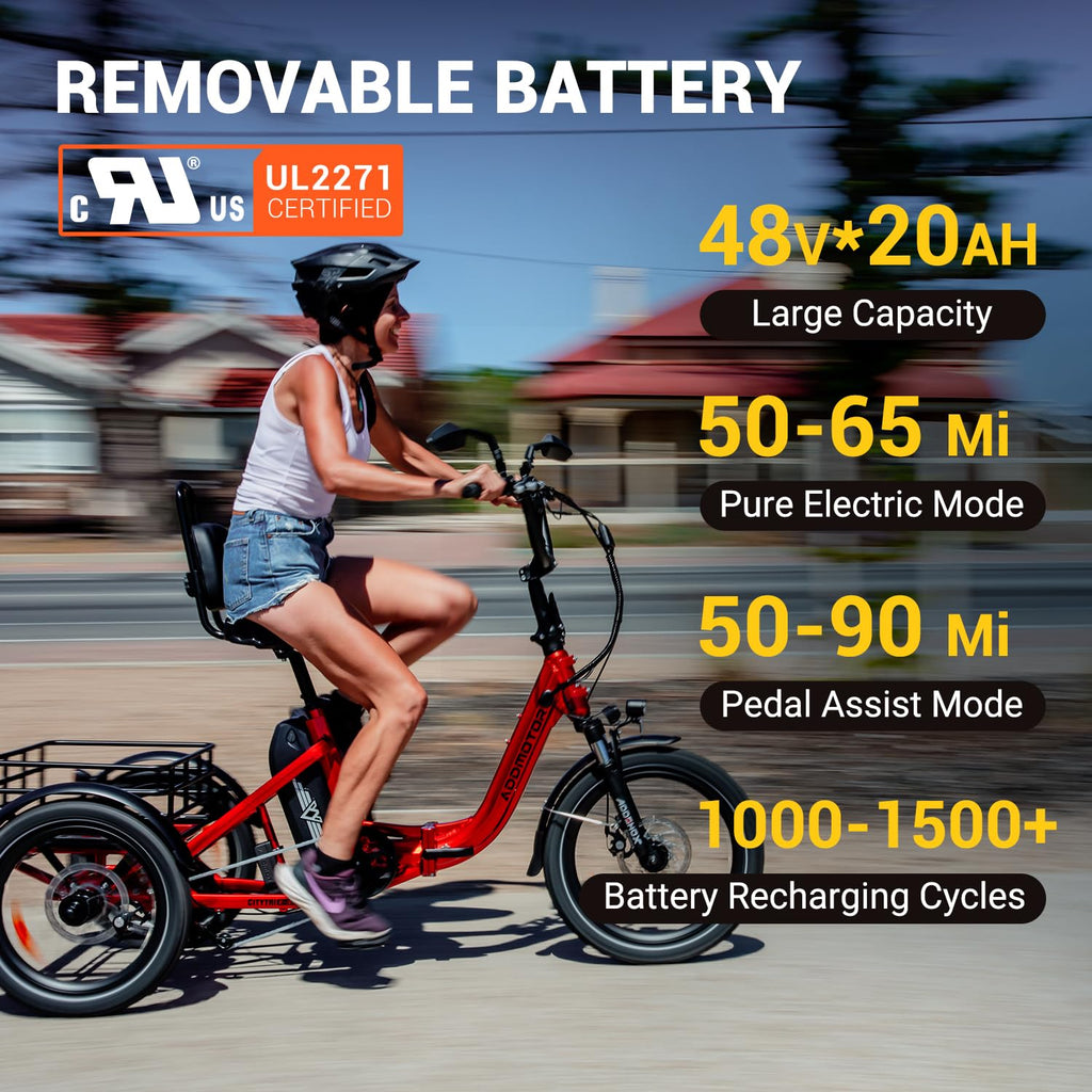Folding Electric Tricycle 750W 48V 20Ah UL2849 F634