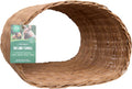 Willow Tunnel J896