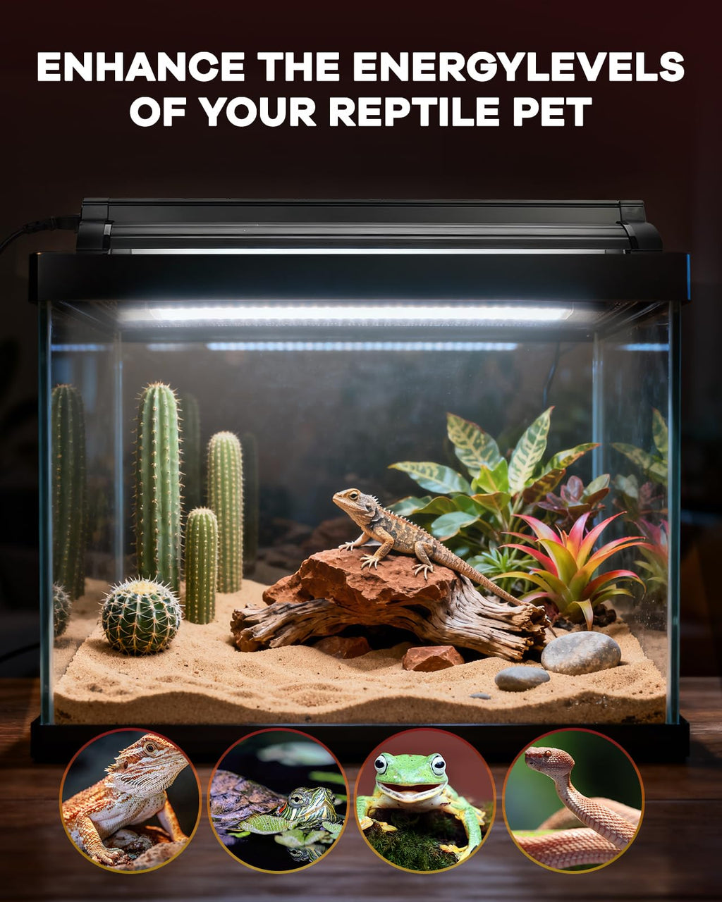 8W T5 UVB Reptile Light Fixture Combo Kit K18305