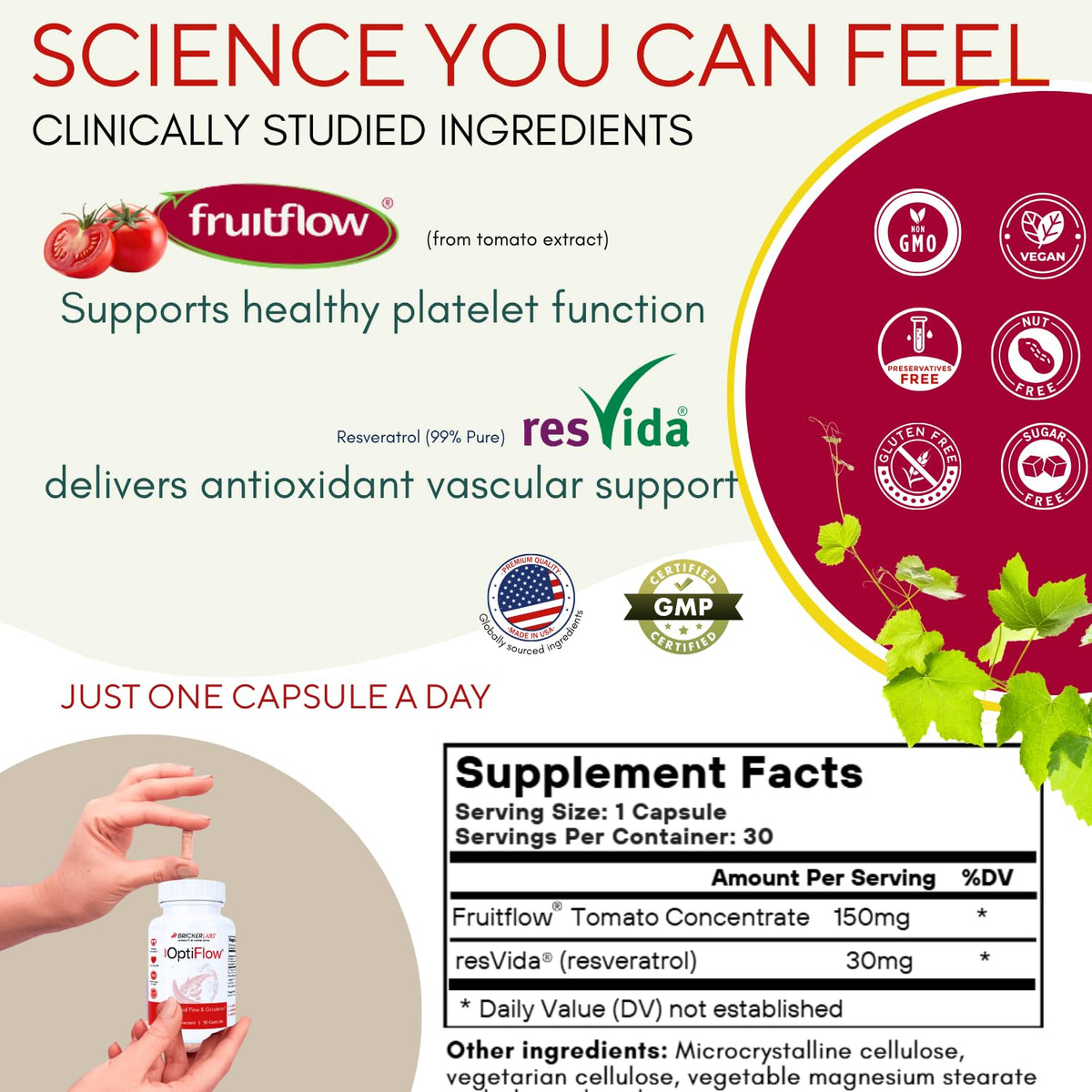 Blood Circulation Supplement 30 Capsules H800