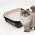 Black Sifting Cat Litter Box M939
