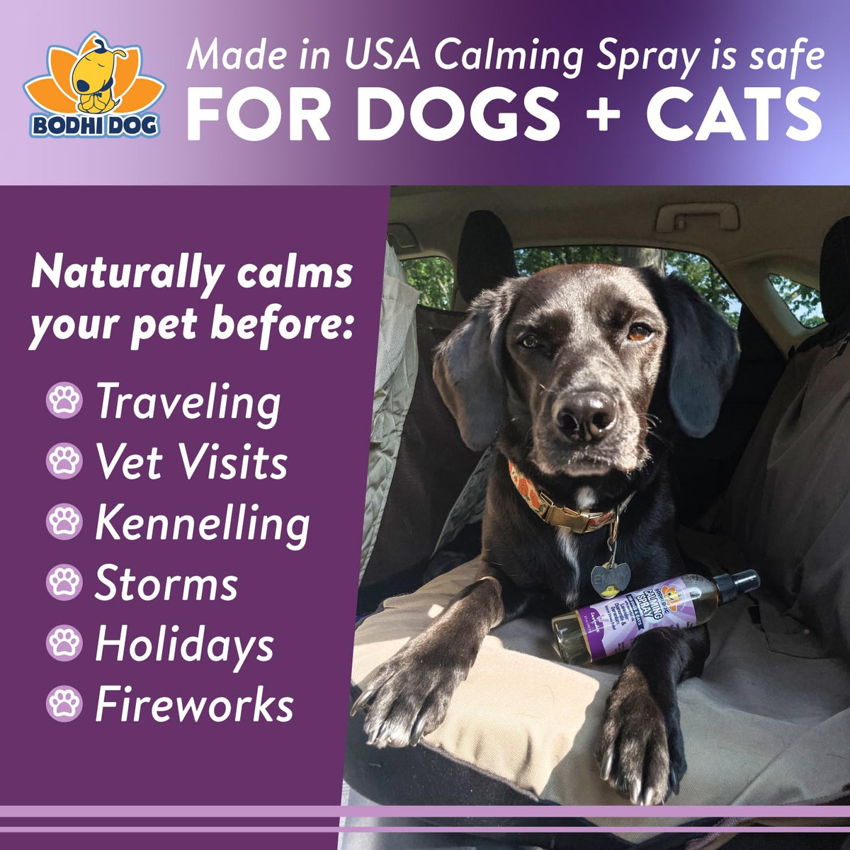 Lavender Calming Spray for Dogs & Cats 8 oz Z307
