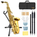 E Flat Alto Saxophone Full Kit E334