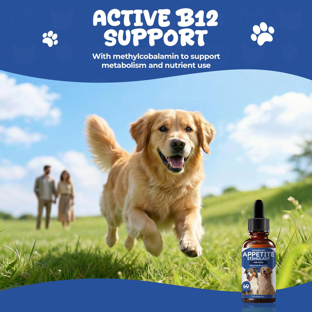 Vitamin B12 Liquid Drops with Methylcobalamin G210