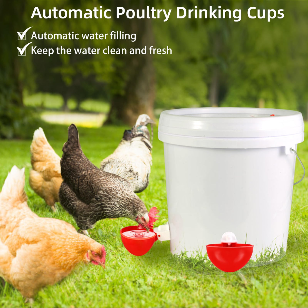 Chicken Waterer Cups A74279