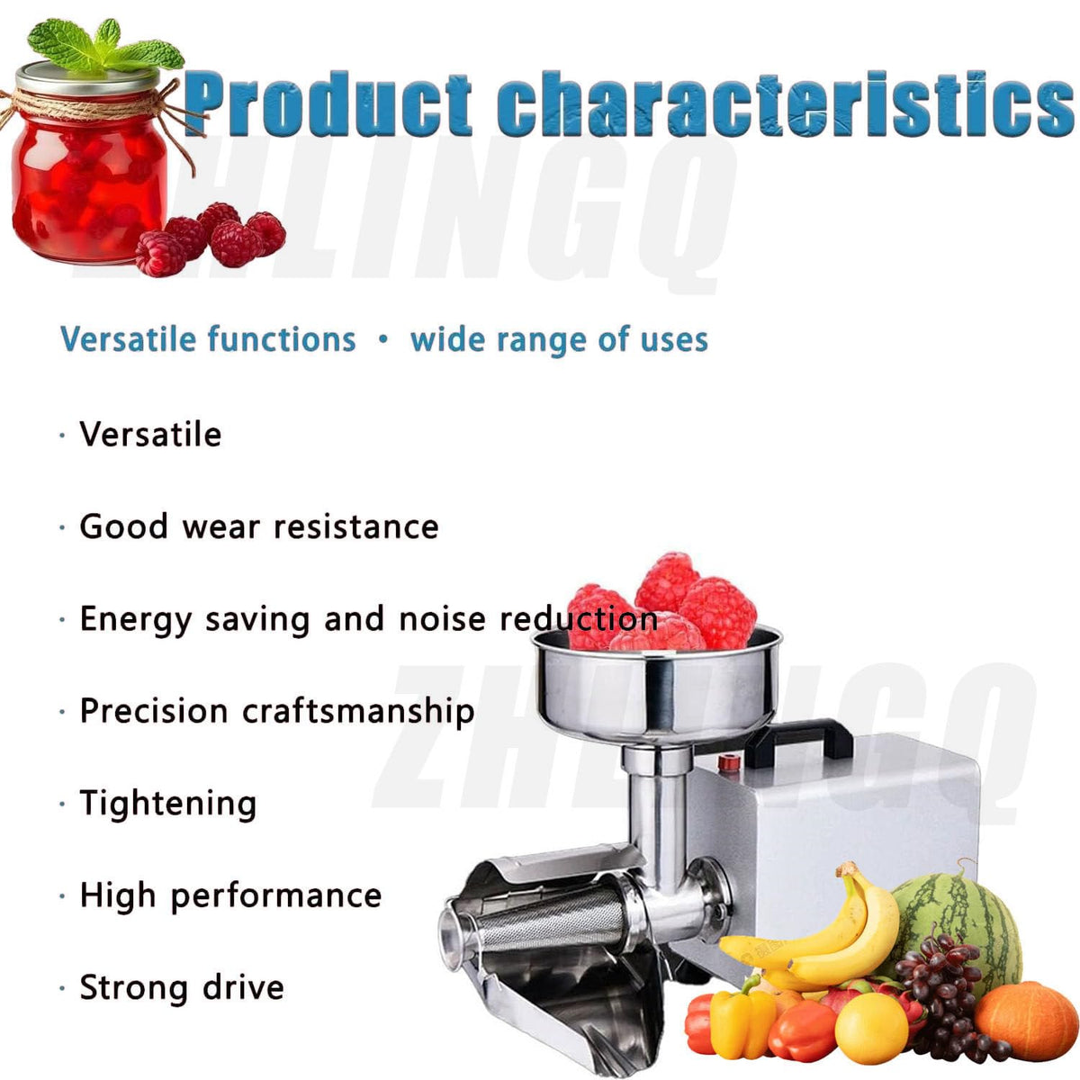 450W Stainless Steel Electric Tomato Strainer P59902
