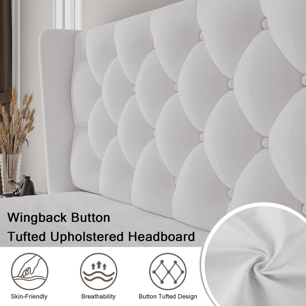 Queen Size Velvet Upholstered Platform Bed Frame with Wingback Headboard S27932