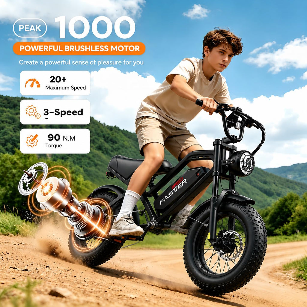 1000W 48V 16Ah Fat Tire Electric Bike C458397