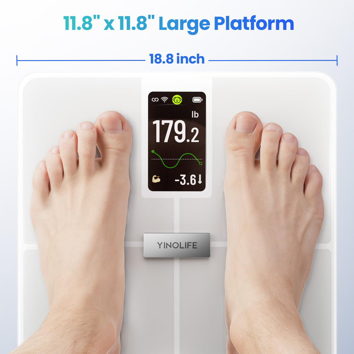 Digital Bathroom Weight Scale with 4.3" Color Display P733