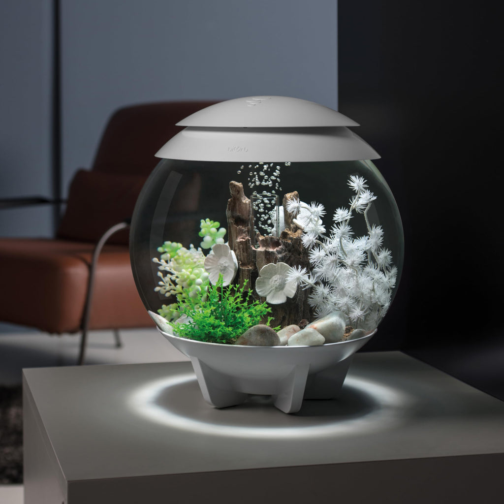 15 Gallon White Aquarium with LED Lights X747