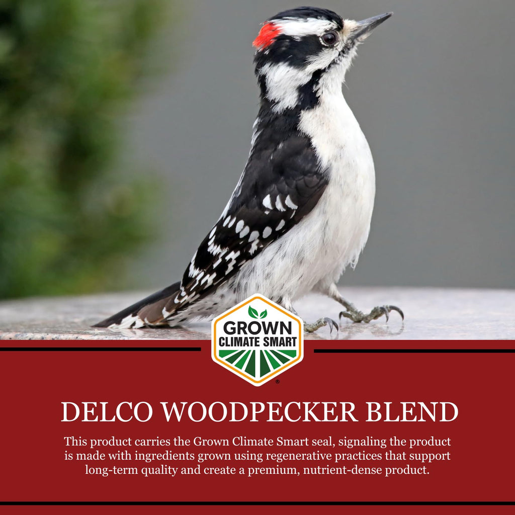 Wild Bird Seed 20 lb Bag Fruit & Nut with Sunflowers V673414