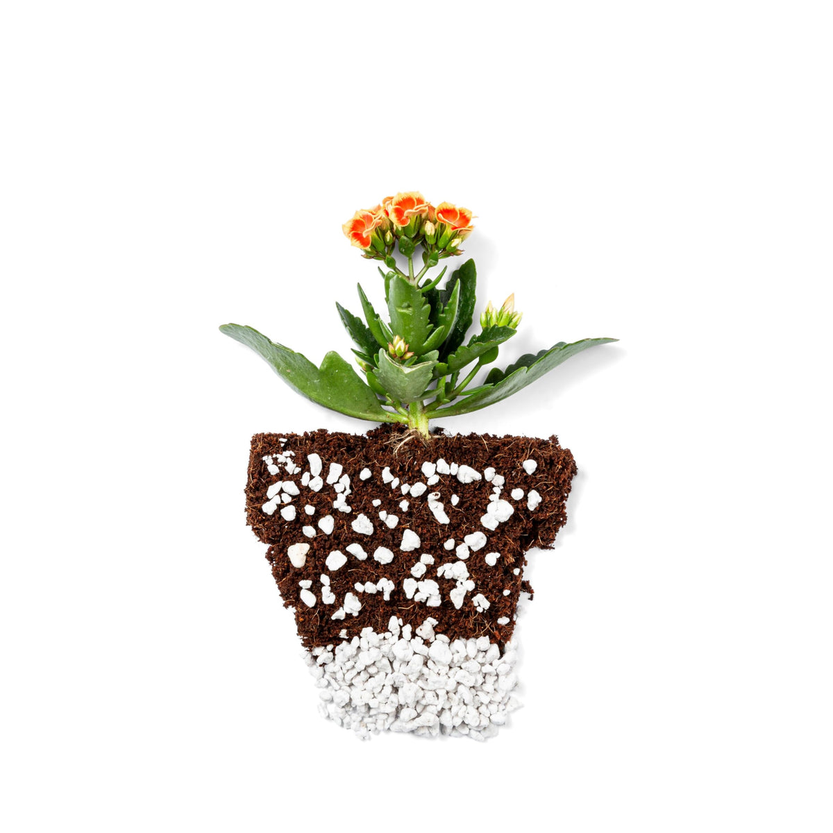 4 Cubic Ft Organic Perlite Soil Amendment A3320