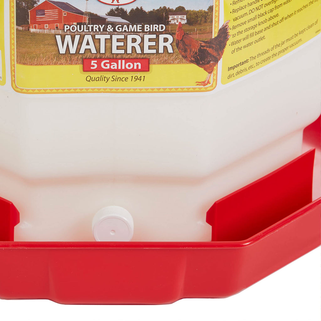 Plastic Poultry Waterer W8637