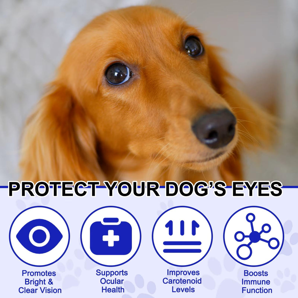 Omega 3 DHA Dog Eye Health Supplements, 180 Count O322