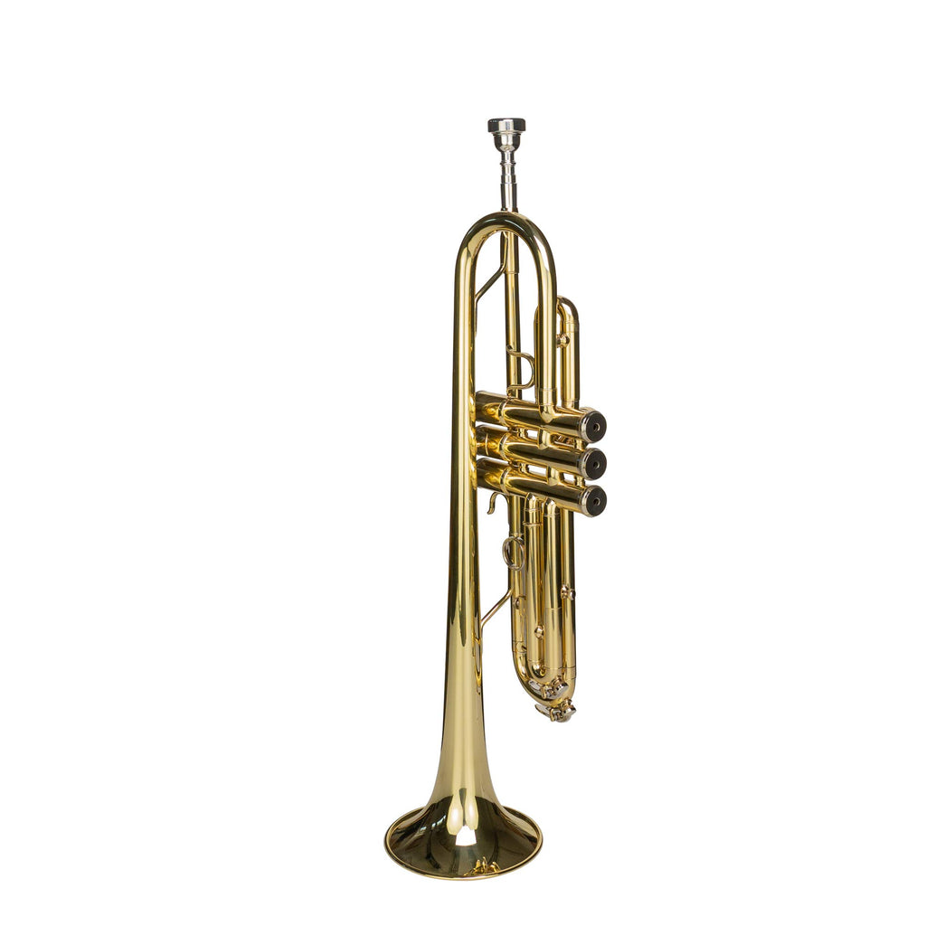 Bb Trumpet with Mouthpiece and Case D904867