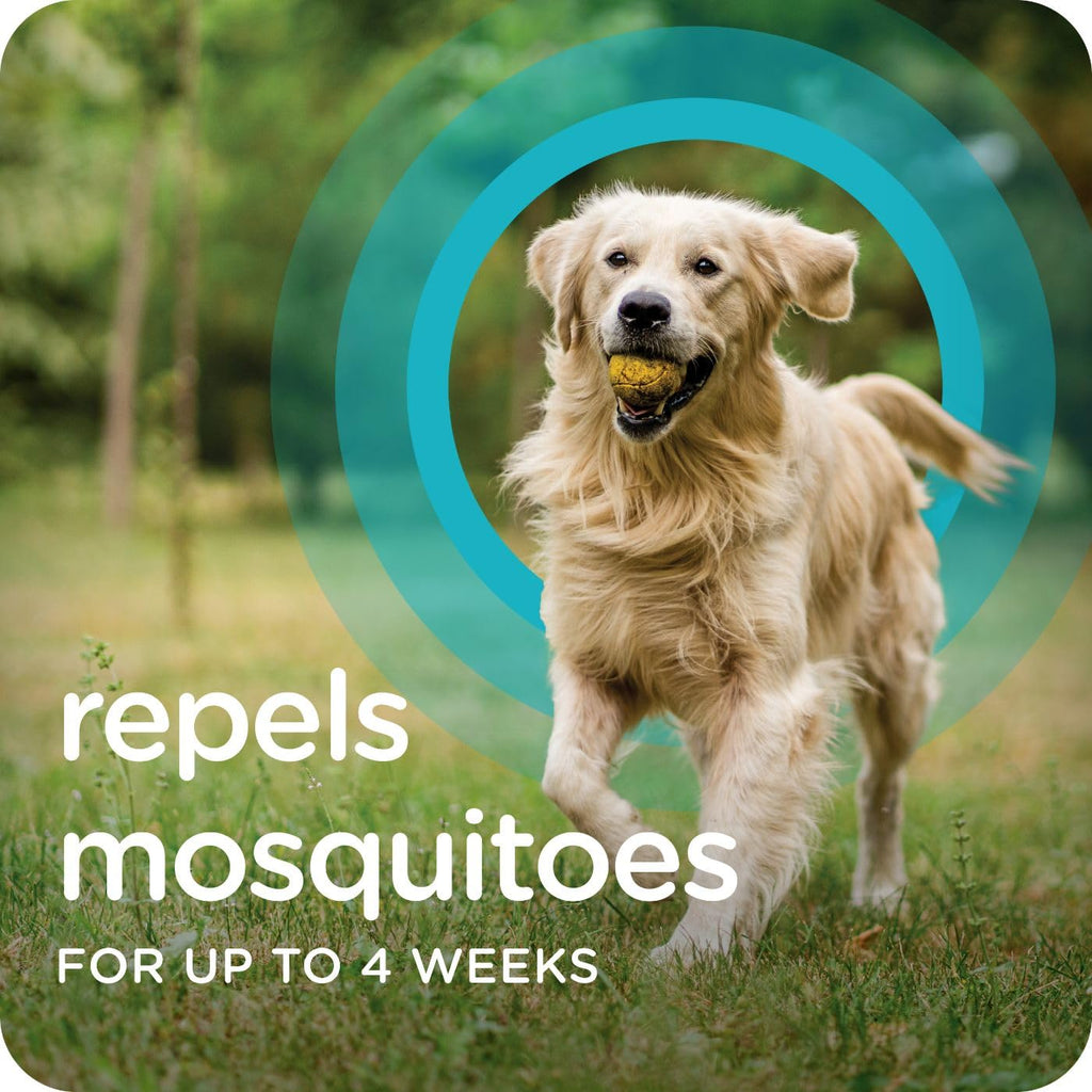 Flea & Tick Topical Dogs 7-33 lbs 3-Month H584