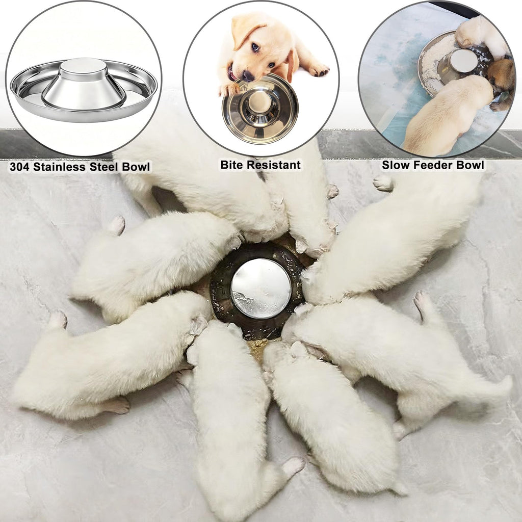 Stainless Steel Multi-Pet Feeding Bowl H375