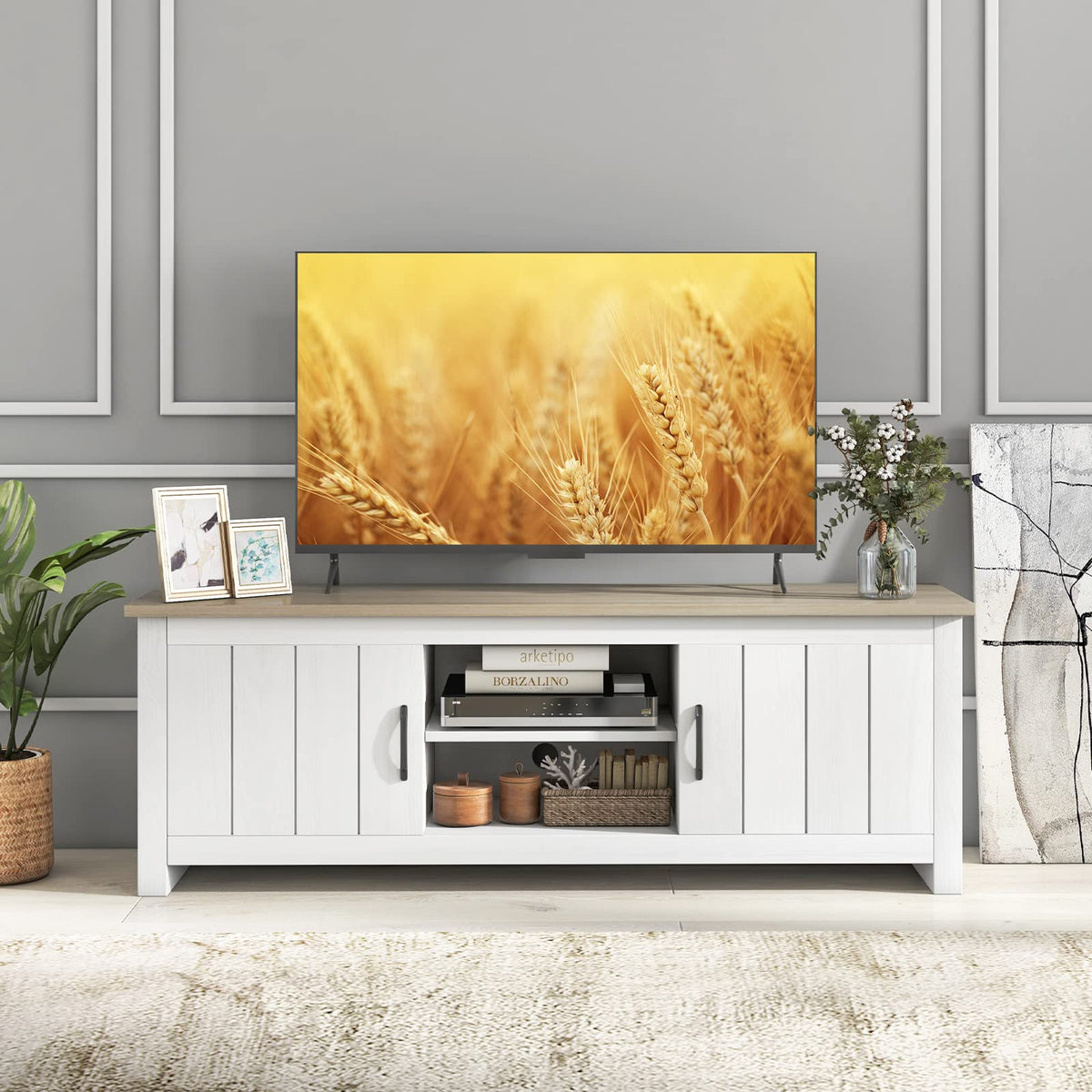 2 Doors TV Stand with 2 Cabinets & Open Shelves O24913