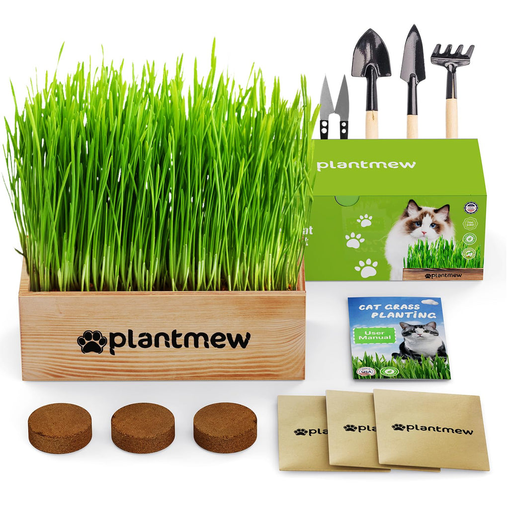 Cat Grass Kit with Seeds, Soil & Planter Pots X8128