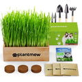 Cat Grass Kit with Seeds, Soil & Planter Pots X8128