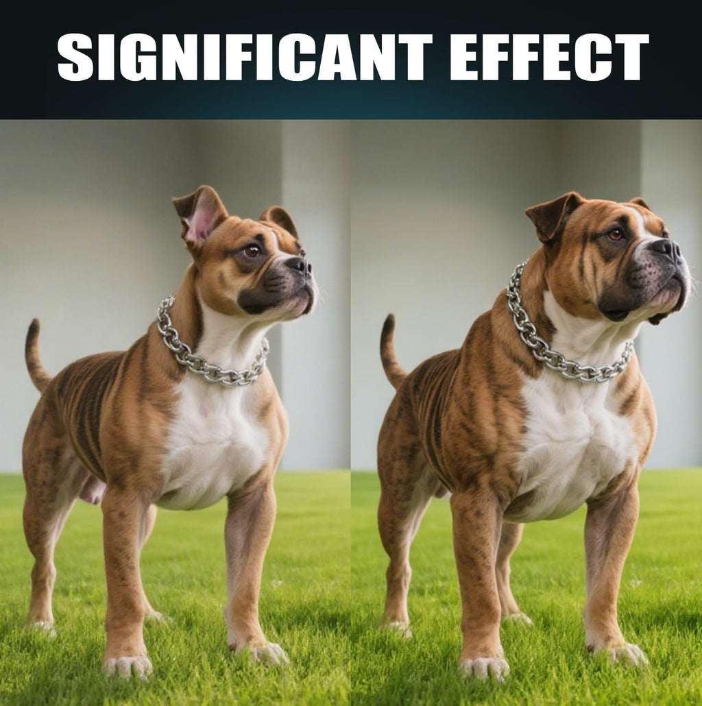 High Protein Dog Weight Gainer H376