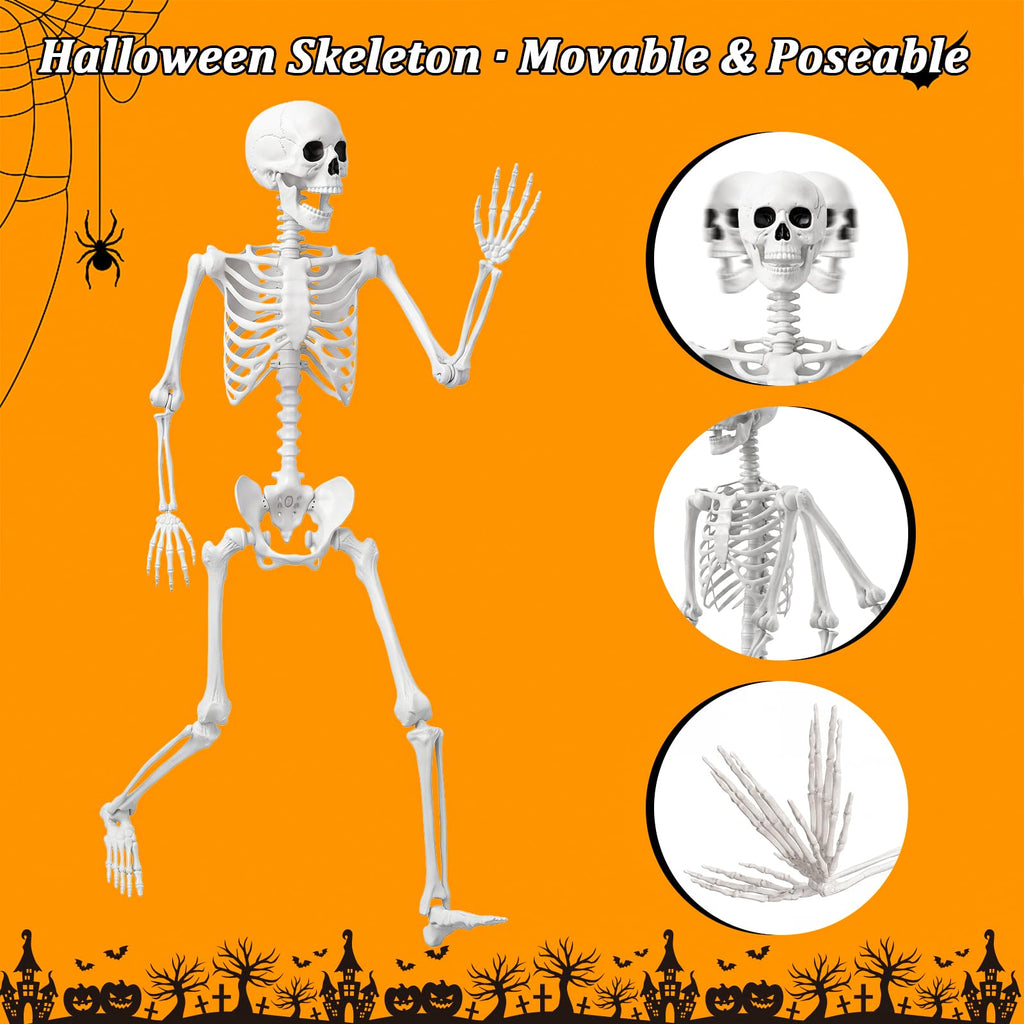 Life Size Human Skeleton with Posable Joint Y373051