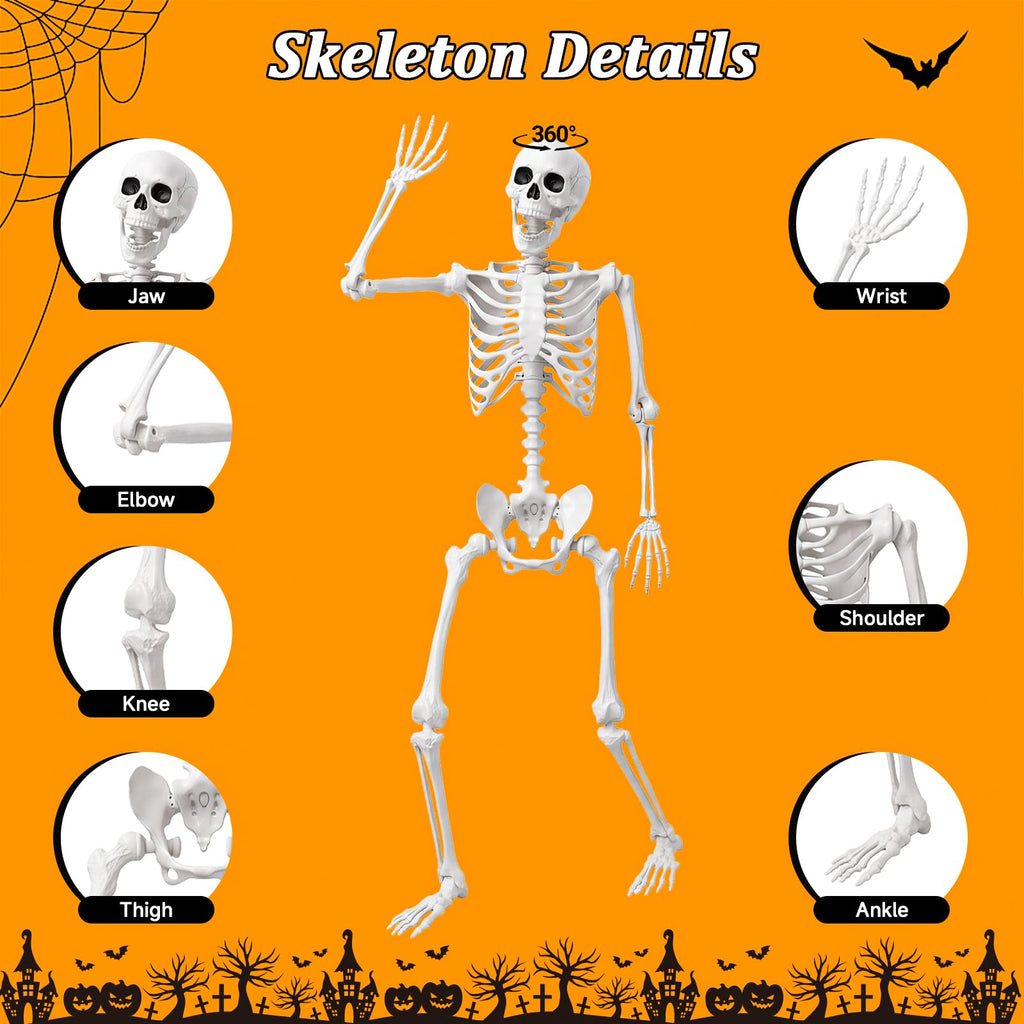 Life Size Human Skeleton with Posable Joint Y373051