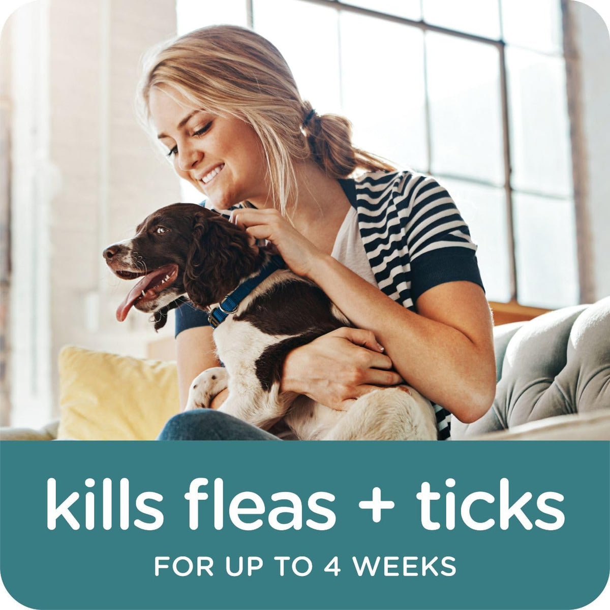 Flea & Tick Topical Dogs 7-33 lbs 3-Month H584